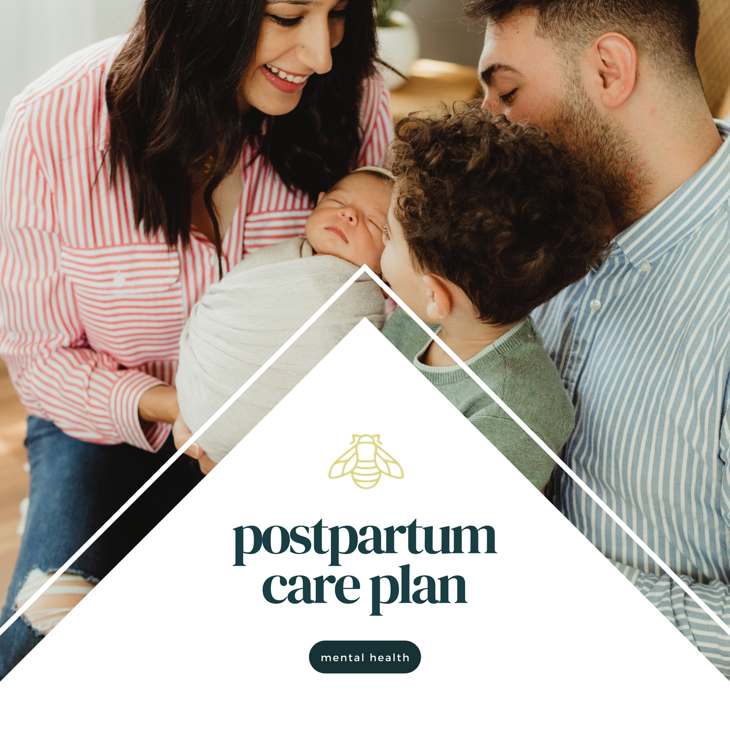 Postpartum care plan e-guide