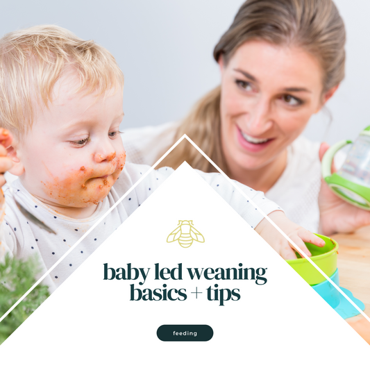 Baby led weaning basics + tips e-guide