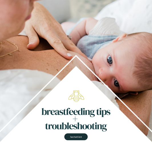 Breastfeeding tips + troubleshooting e-guide