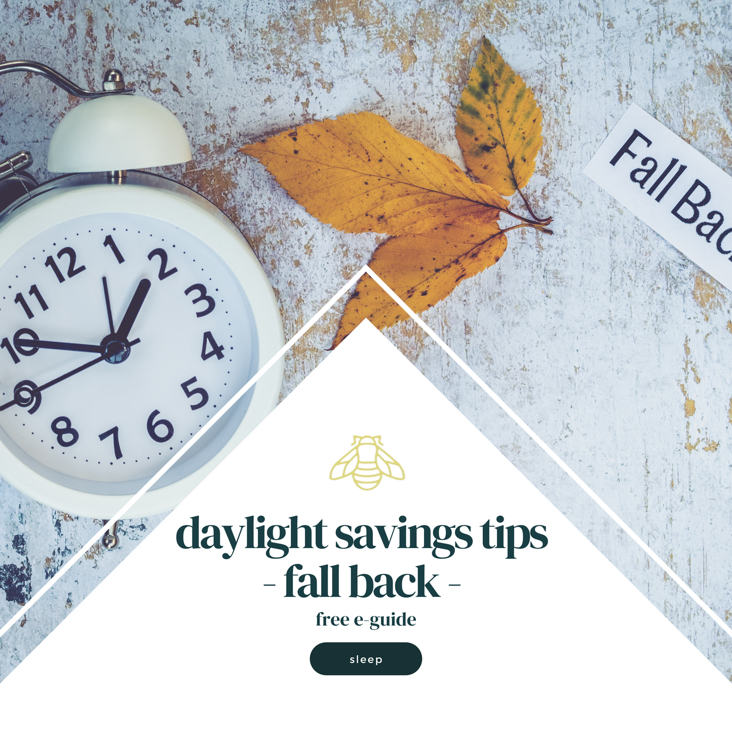 daylight savings fall back free e-guide