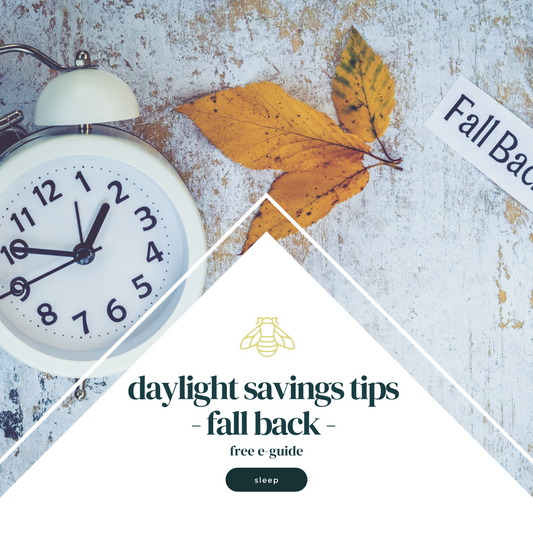 daylight savings fall back free e-guide